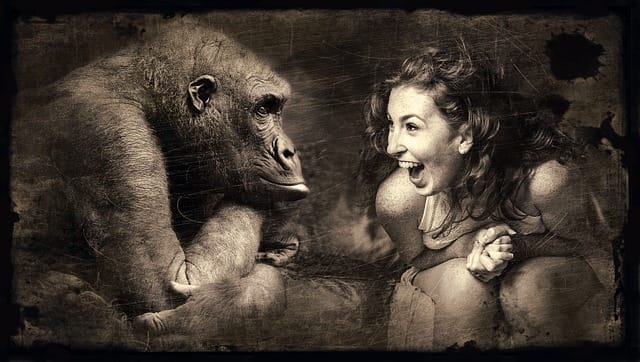 Mythos Raucherentwöhnung - trauriger Affe und lachende Frau